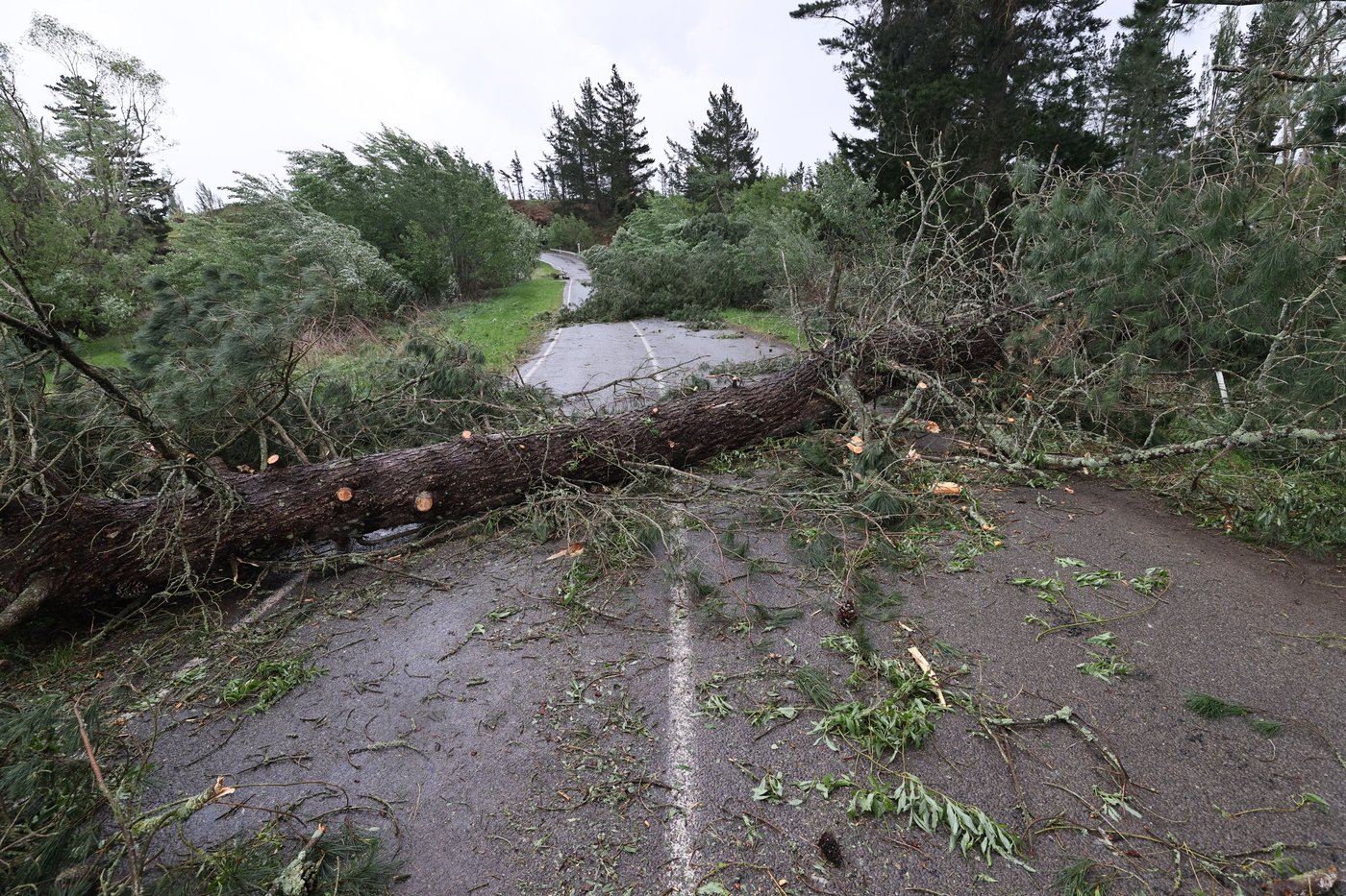 Flights canceled and a 'mega strike' disrupted as dangerous winds hit New Zealand | iNFOnews.ca Flights canceled and a 'mega strike' disrupted as dangerous winds hit New Zealand | iNFOnews.ca