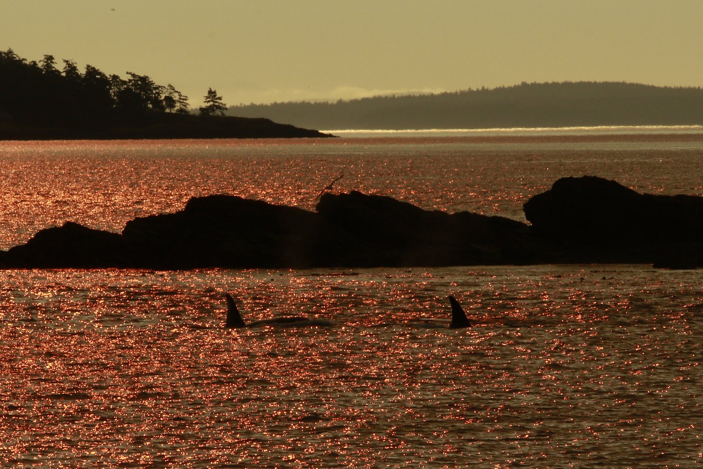 Photo Gallery: B.C. spill response team runs exercises | iNFOnews.ca