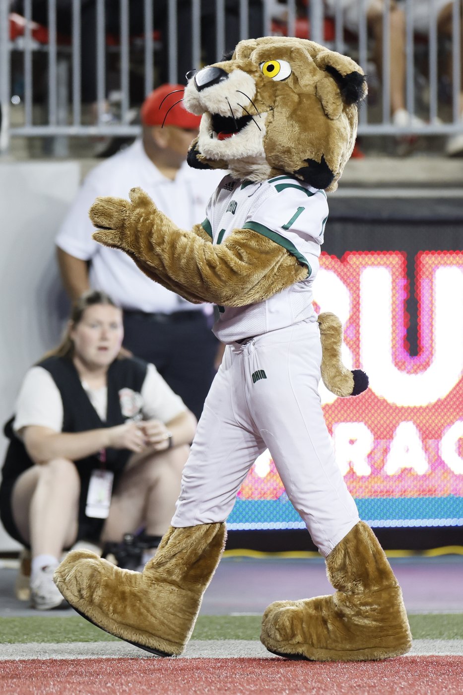 Brutus Buckeye finally gets revenge on Rufus the Bobcat during Ohio State-Ohio U game | iNFOnews.ca Brutus Buckeye finally gets revenge on Rufus the Bobcat during Ohio State-Ohio U game | iNFOnews.ca
