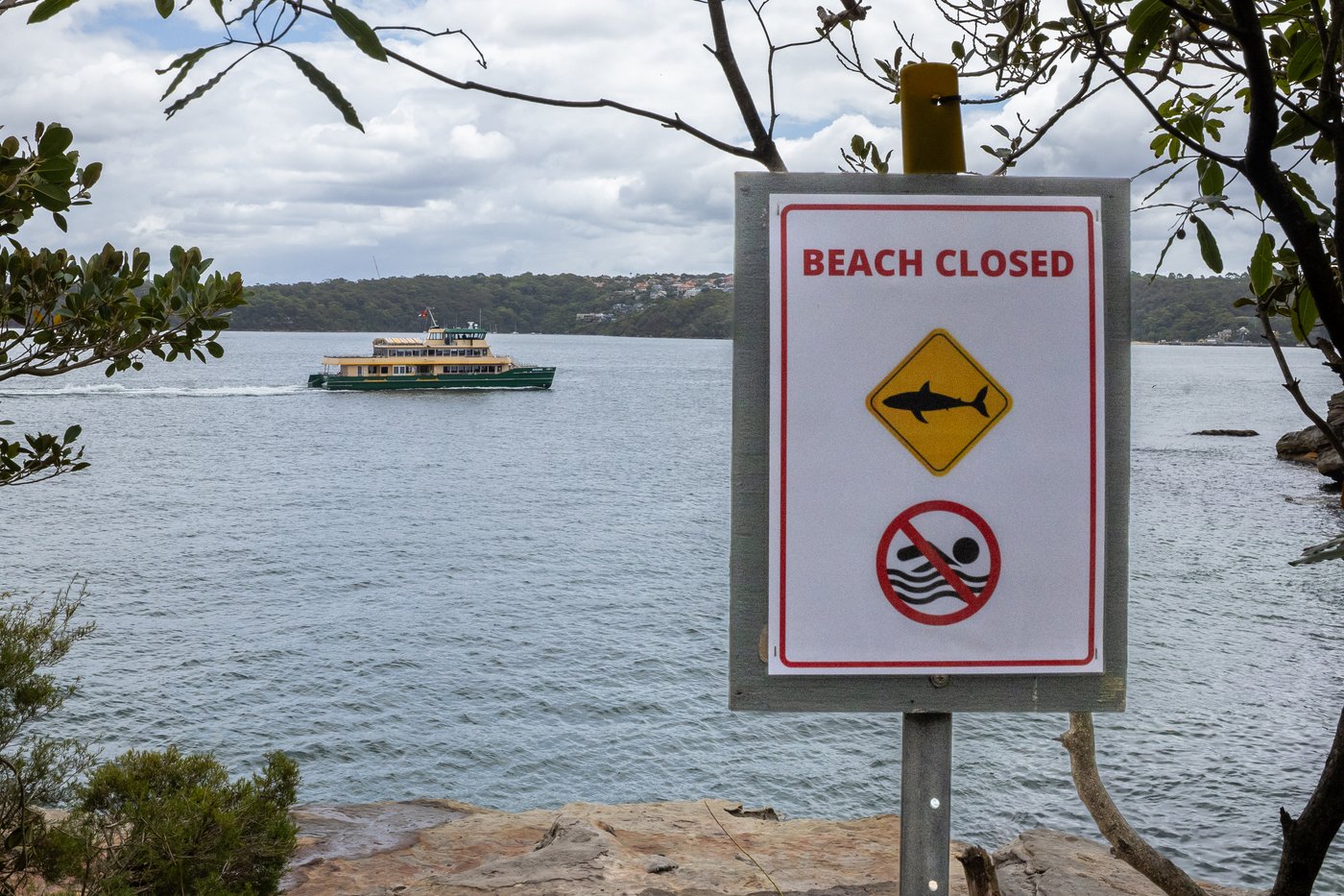 Man and boy critical after 3 shark attacks off Sydney in just over 24 hours | iNFOnews.ca