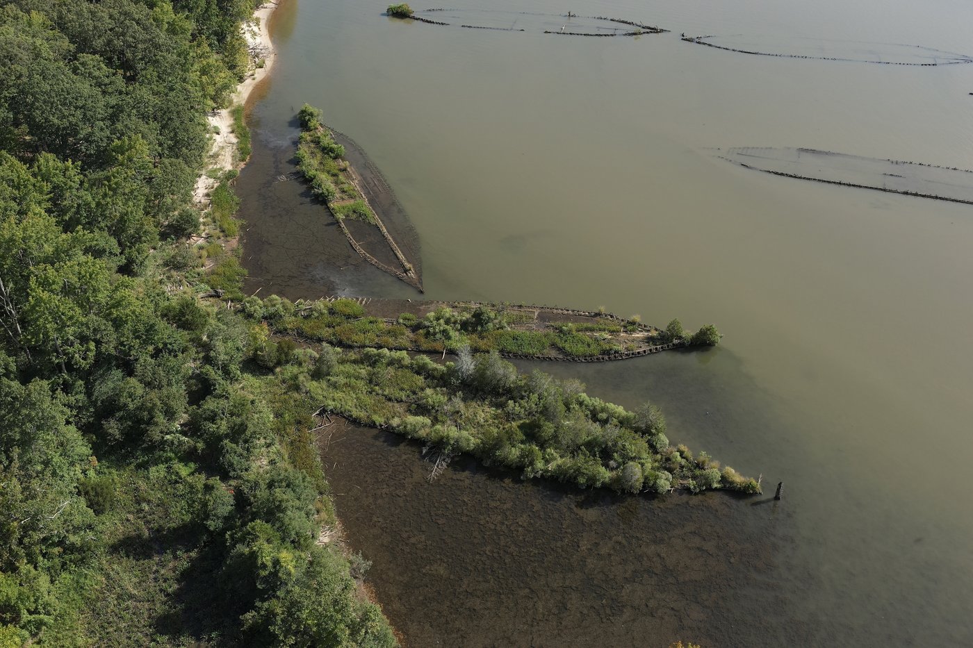 Scientists find marine life thriving on World War II explosives in the Baltic Sea | iNFOnews.ca