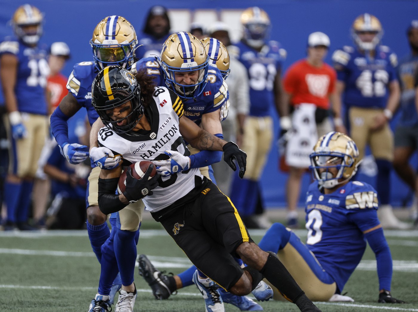 Hamilton Tiger-Cats can clinch first in East Division with home win over Ottawa | iNFOnews.ca Hamilton Tiger-Cats can clinch first in East Division with home win over Ottawa | iNFOnews.ca
