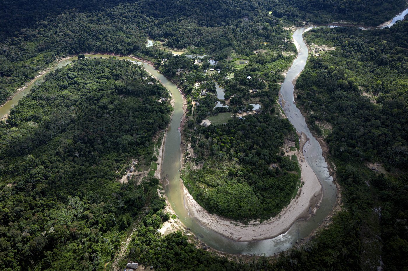 Well-preserved Amazon rainforest on Indigenous lands can protect people from diseases, study finds | iNFOnews.ca