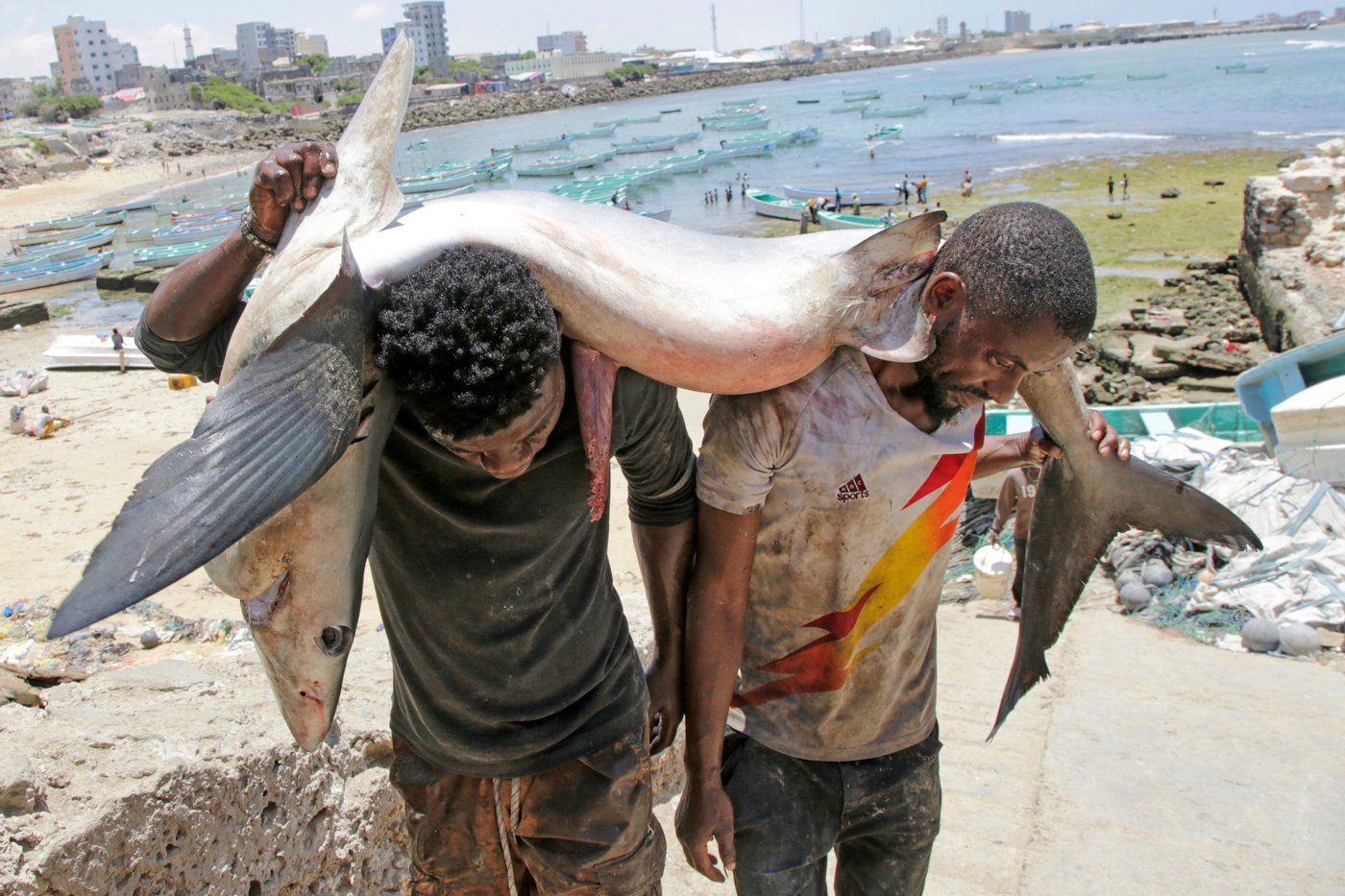 AP photos spotlight a year of joy, triumph and resilience across Africa in 2025 | iNFOnews.ca