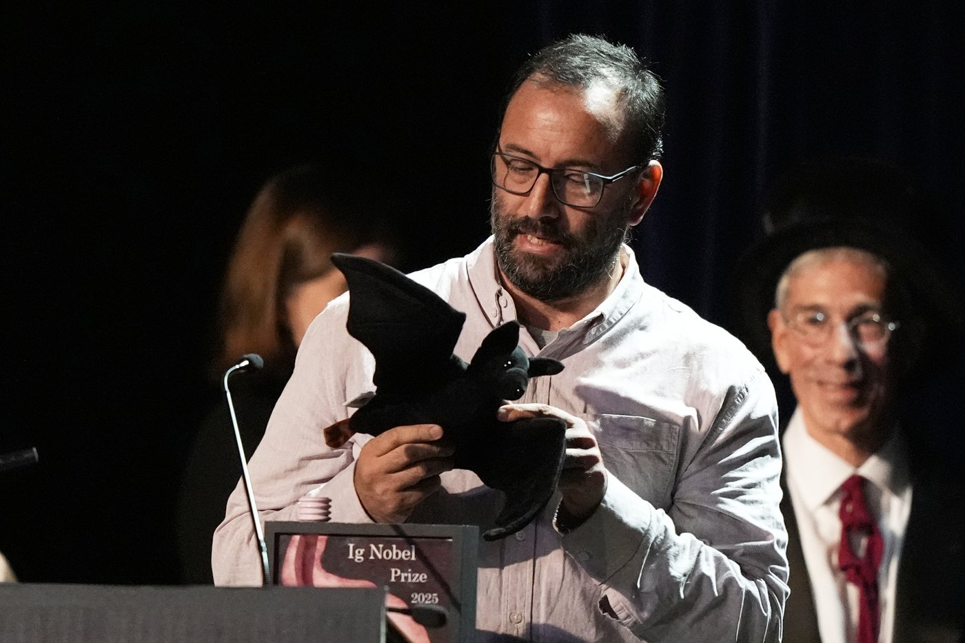 Does painting cows with stripes prevent fly bites? Researchers who studied this win Ig Nobel prize | iNFOnews.ca