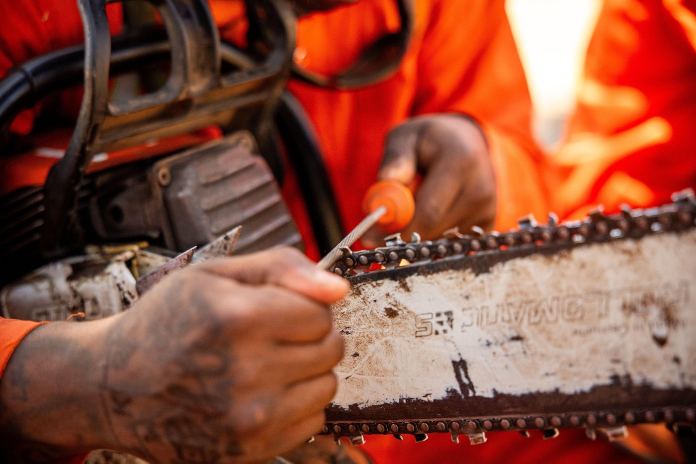 PHOTO ESSAY: Young California inmates learn skills to fight wildfires | iNFOnews.ca