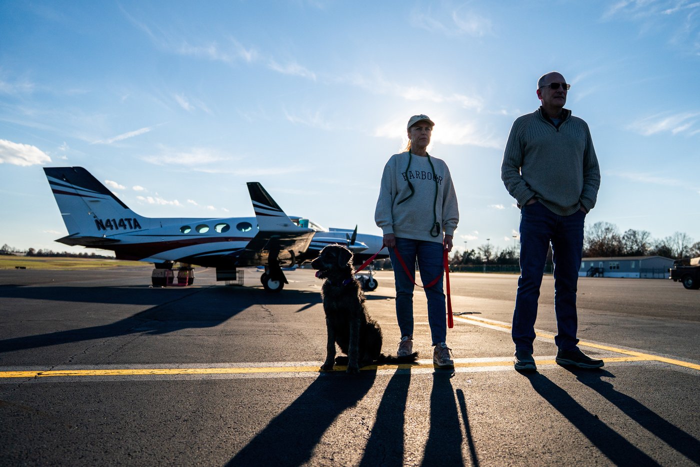 Shelter pets rescued by the revitalized Seuk’s Army in photos | iNFOnews.ca