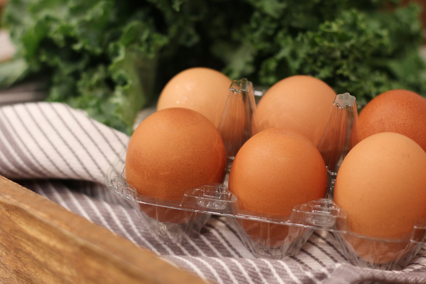 Fruitful advice for getting the most from a refrigerator and making groceries last longer | iNFOnews.ca Fruitful advice for getting the most from a refrigerator and making groceries last longer | iNFOnews.ca