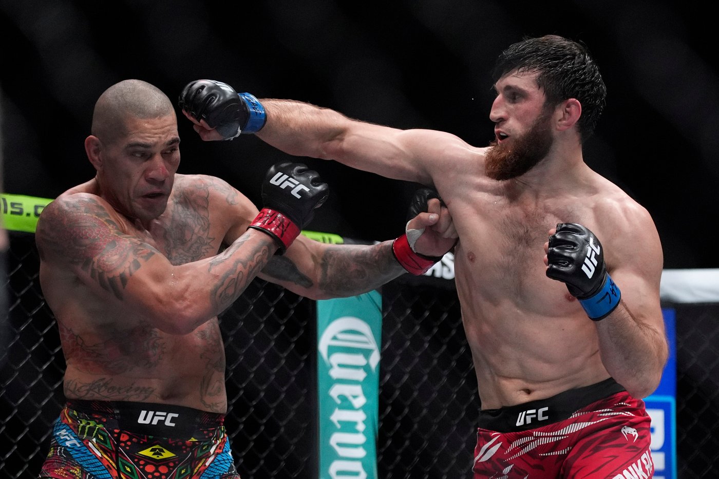 Ankalaev aims to cement his legacy with title defense against Pereira at UFC 320 | iNFOnews.ca