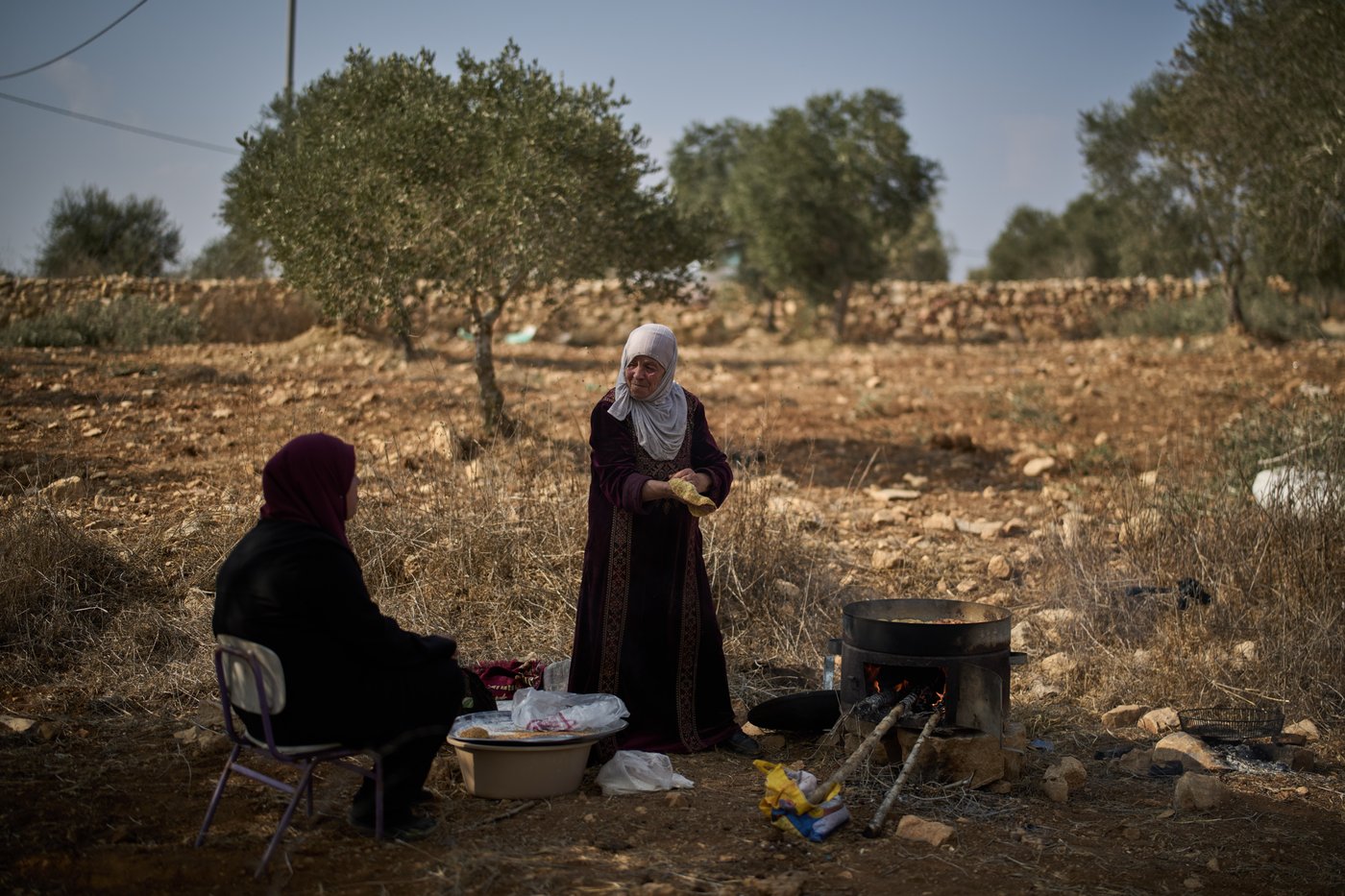 Photos capture West Bank olive harvest as villagers fear more violence by Israeli settlers | iNFOnews.ca