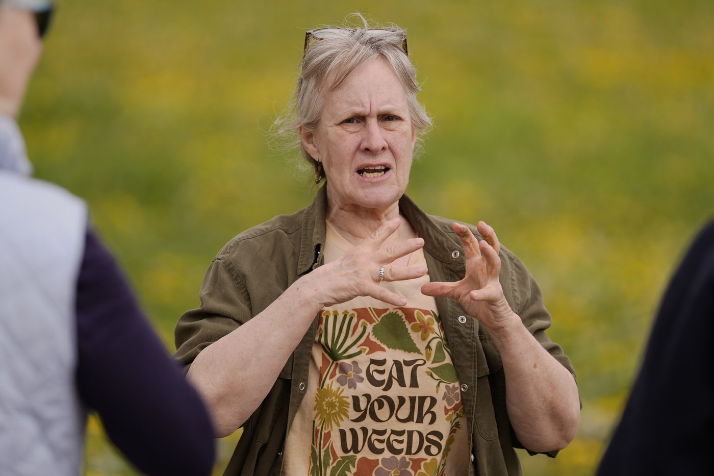 What to know before you try foraging for edible plants and mushrooms in backyards or public spaces | iNFOnews.ca