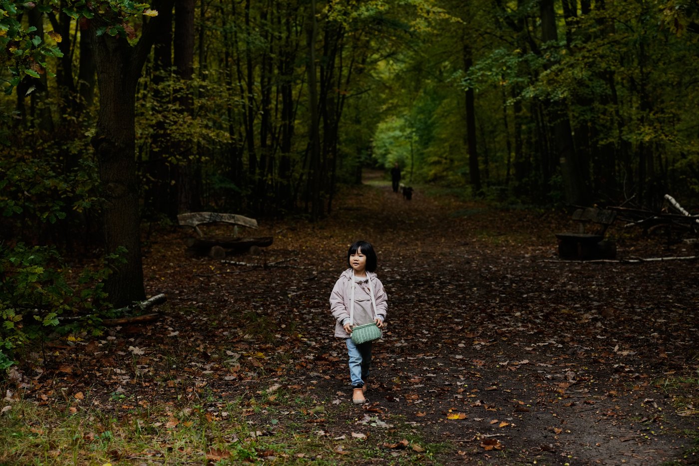 Mushroom hunting in Germany sees a revival thanks to veganism and medicinal fungi, in photos | iNFOnews.ca