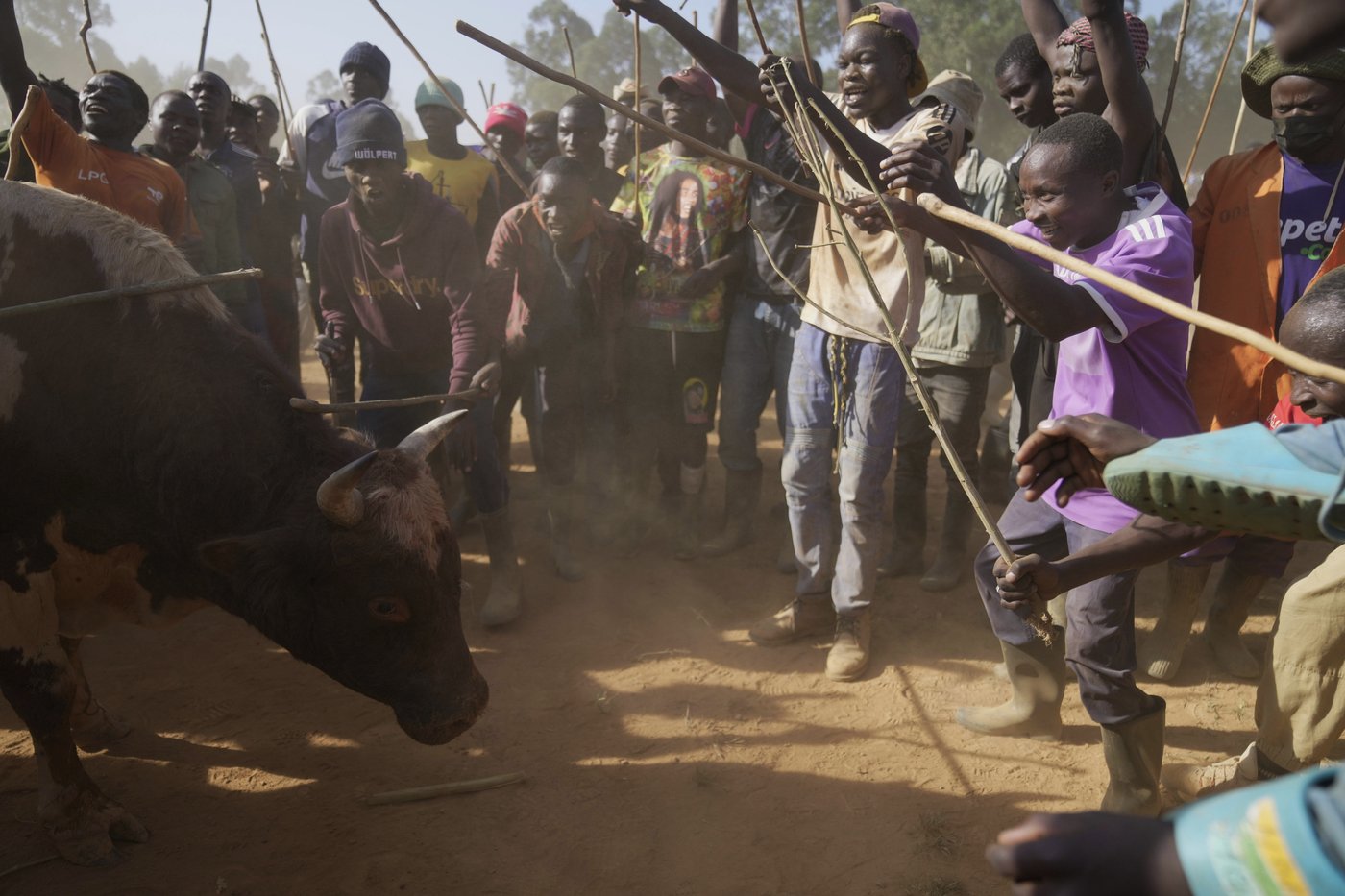 Photos show a bullfight in Kenya, where an ancient sport attracts modern-day bets | iNFOnews.ca