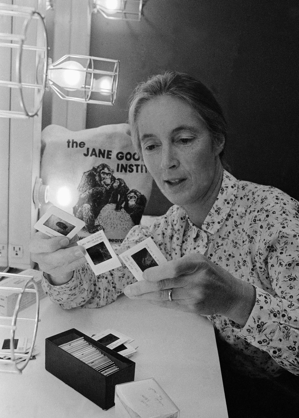 Remembering Jane Goodall in photos: the conservationist renowned for chimpanzee research | iNFOnews.ca