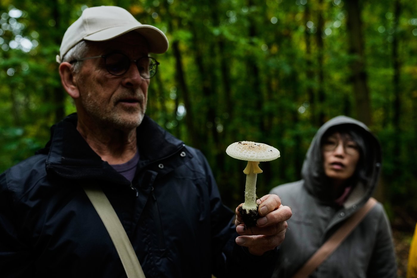 Mushroom hunting in Germany sees a revival thanks to veganism and medicinal fungi, in photos | iNFOnews.ca