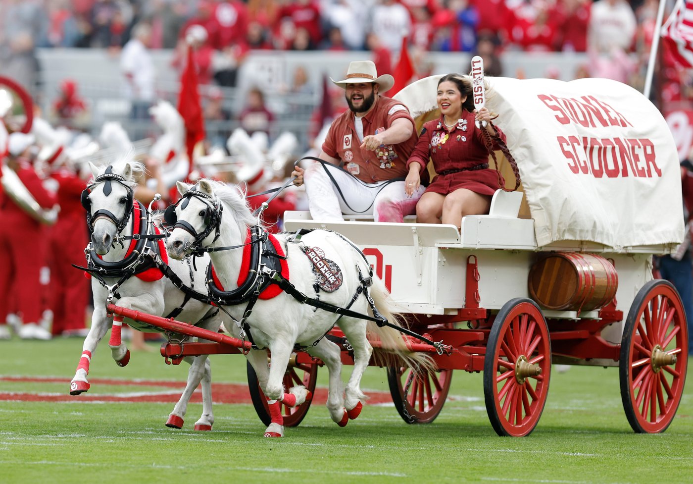 First Native woman drives Oklahoma's iconic Sooner Schooner | iNFOnews.ca First Native woman drives Oklahoma's iconic Sooner Schooner | iNFOnews.ca