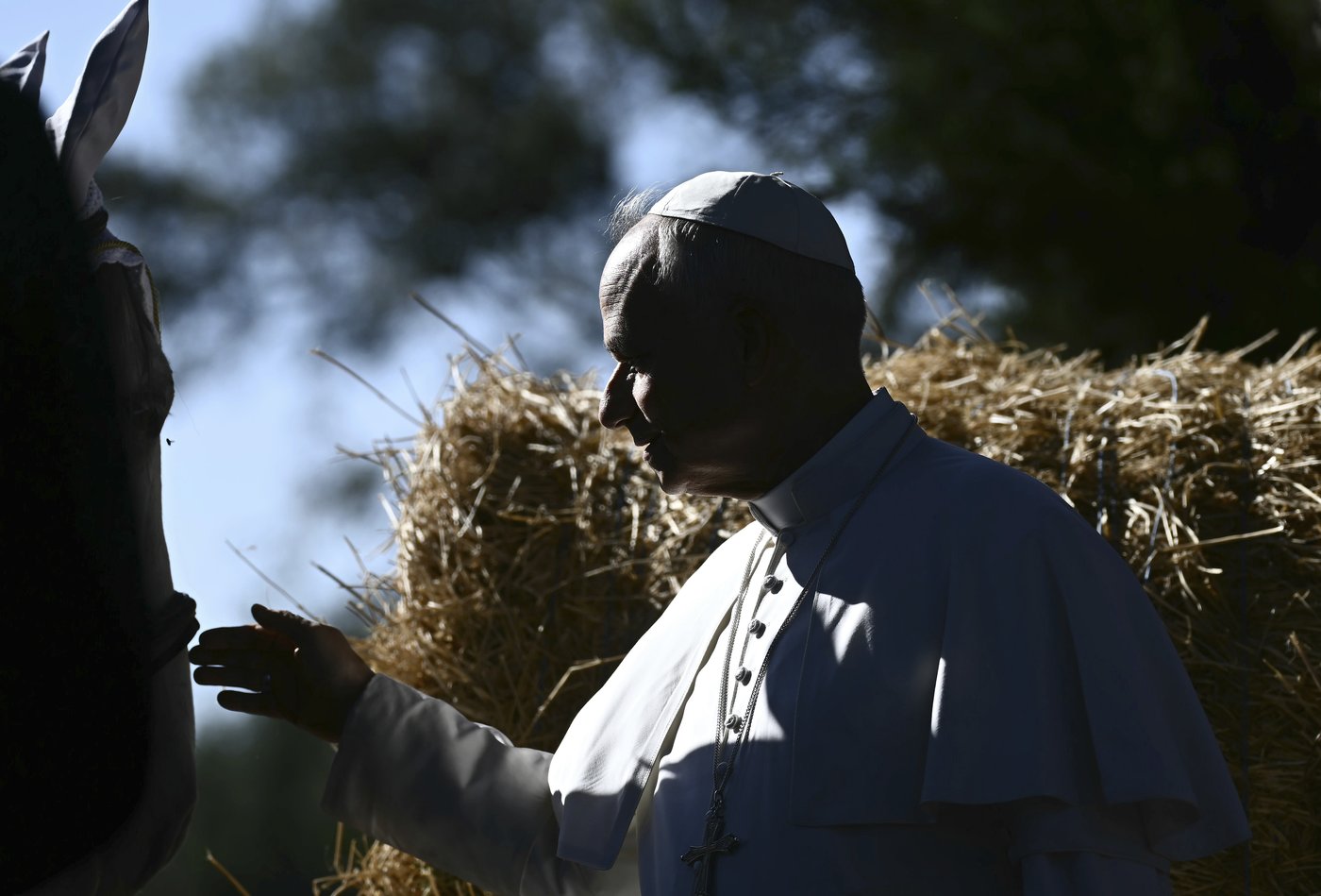 Pope feeds fish as he opens Vatican's ambitious model of sustainable farming and education | iNFOnews.ca Pope feeds fish as he opens Vatican's ambitious model of sustainable farming and education | iNFOnews.ca