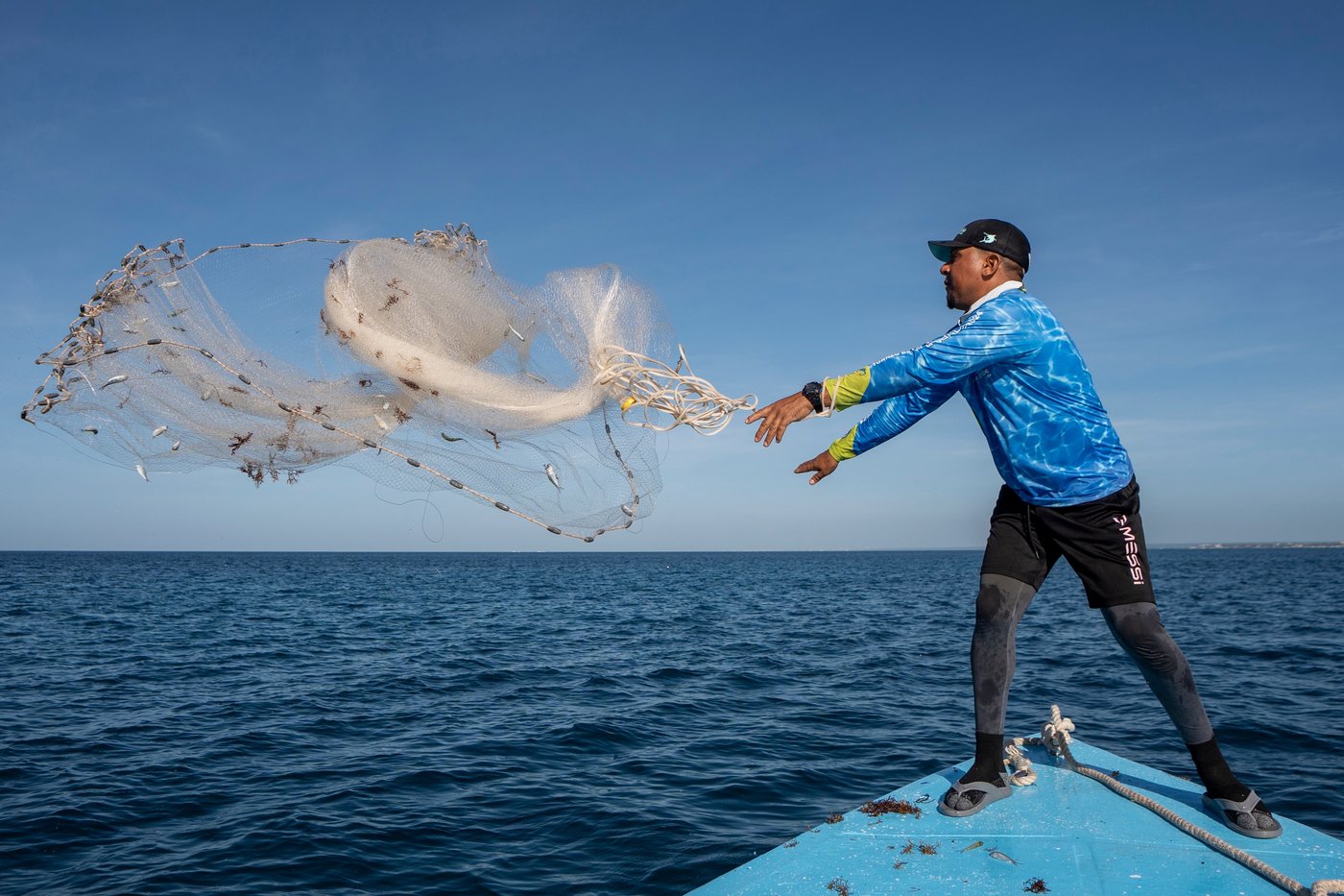 As reefs vanish, assisted coral fertilization offers hope in the Dominican Republic | iNFOnews.ca As reefs vanish, assisted coral fertilization offers hope in the Dominican Republic | iNFOnews.ca