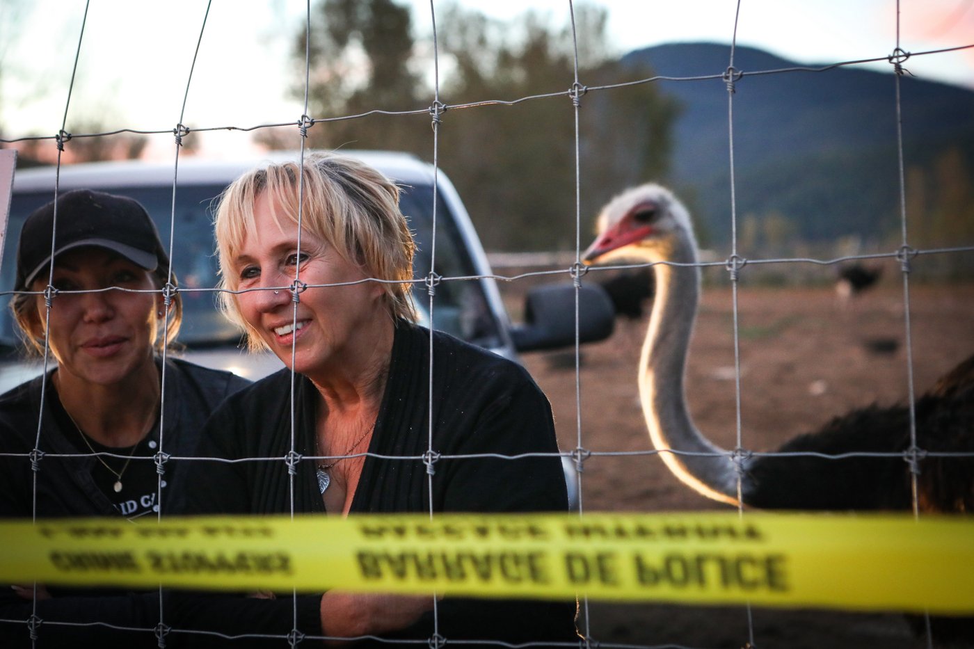 Ostrich farmers hope for 'miracle' as CFIA moves to cull flock over avian flu | iNFOnews.ca Ostrich farmers hope for 'miracle' as CFIA moves to cull flock over avian flu | iNFOnews.ca