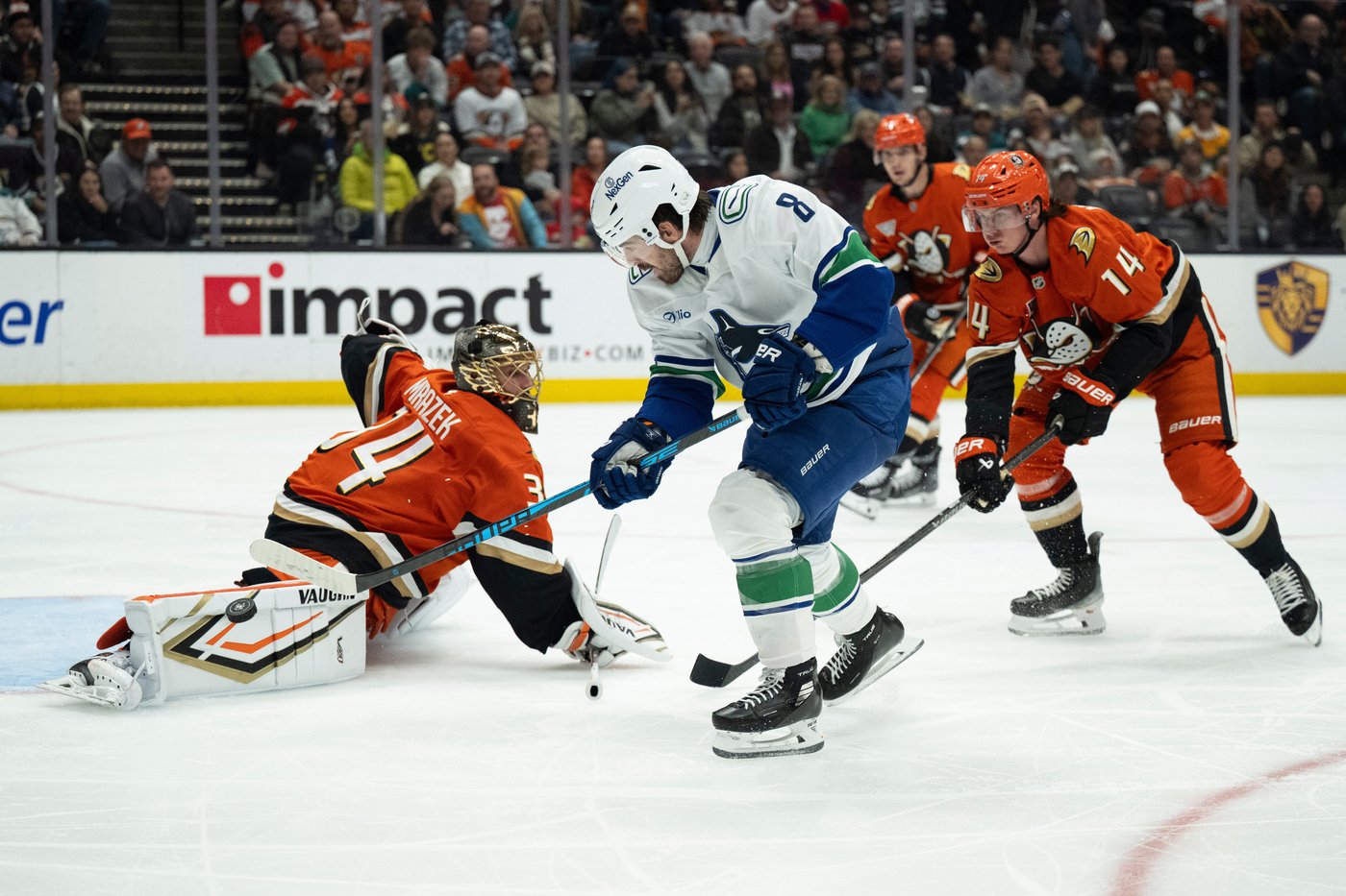 Sasson, O’Connor score late to back Tolopilo in Canucks' 5-4 win over Ducks | iNFOnews.ca