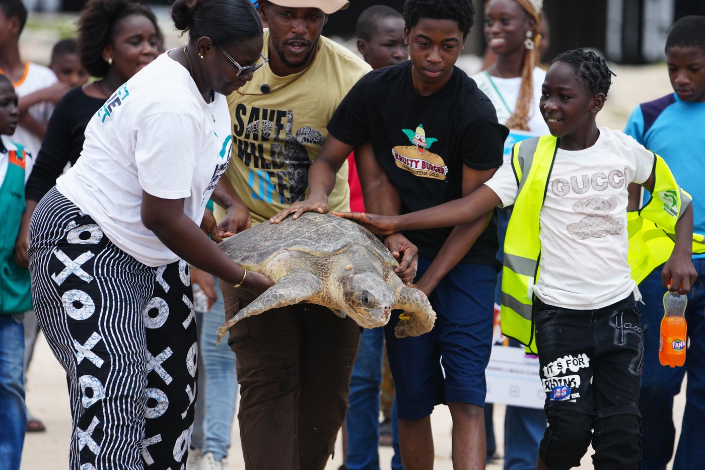 Conservation group rescues sea turtles caught in nets at Nigerian coastal city and rewards fishermen | iNFOnews.ca Conservation group rescues sea turtles caught in nets at Nigerian coastal city and rewards fishermen | iNFOnews.ca