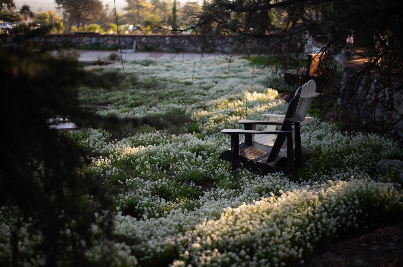 What life looks like a year after the deadly Los Angeles wildfires in photos | iNFOnews.ca