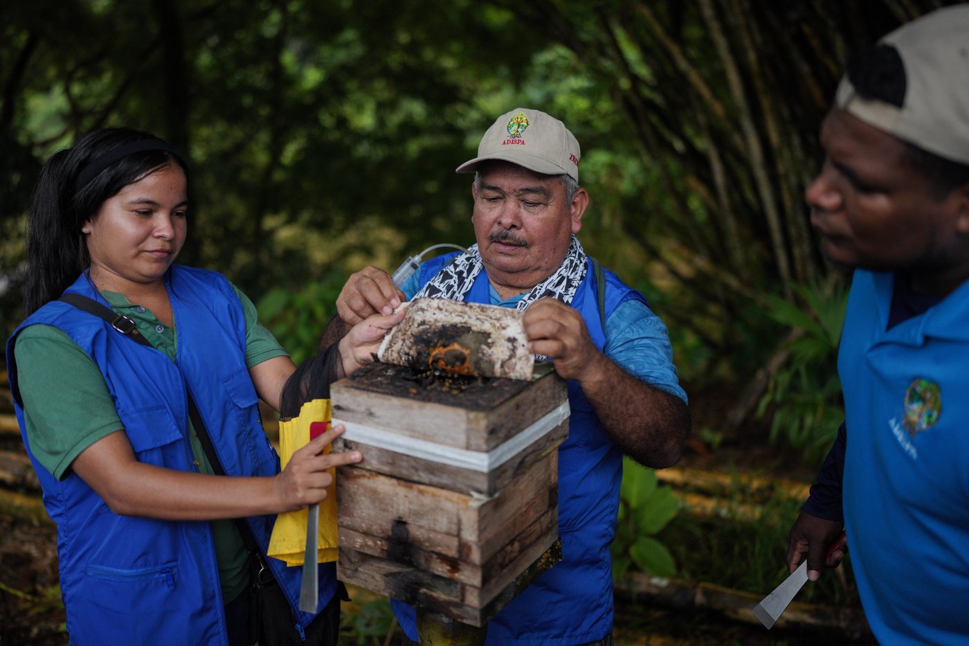 'It’s not safe to live here.' Colombia is deadliest country for environmental defenders | iNFOnews.ca