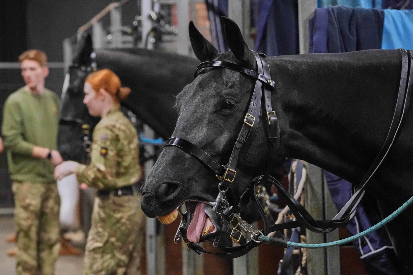 The top photos of the day by AP's photojournalists | iNFOnews.ca