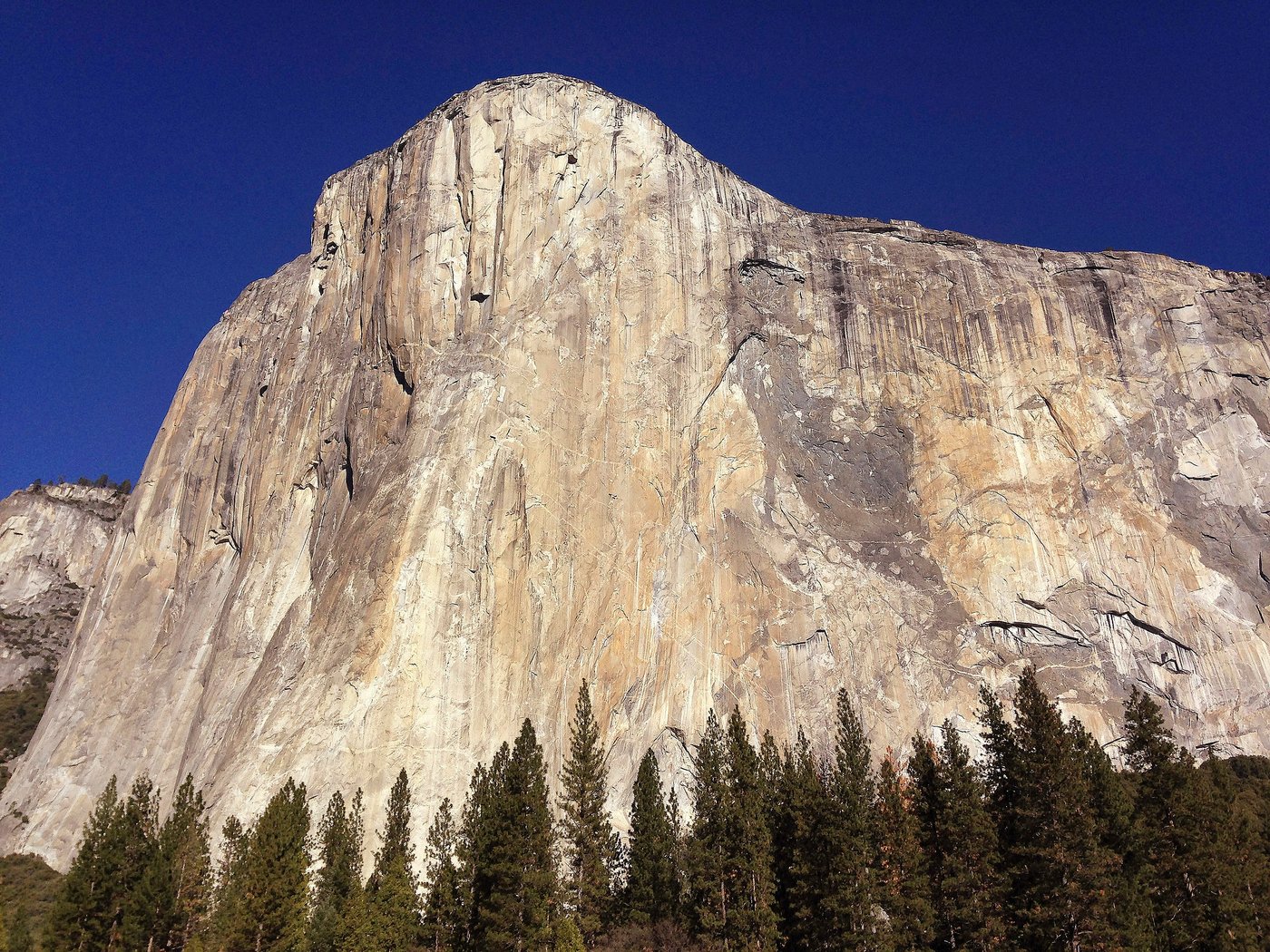 Alaskan climbing star dies in fall from Yosemite's El Capitan | iNFOnews.ca