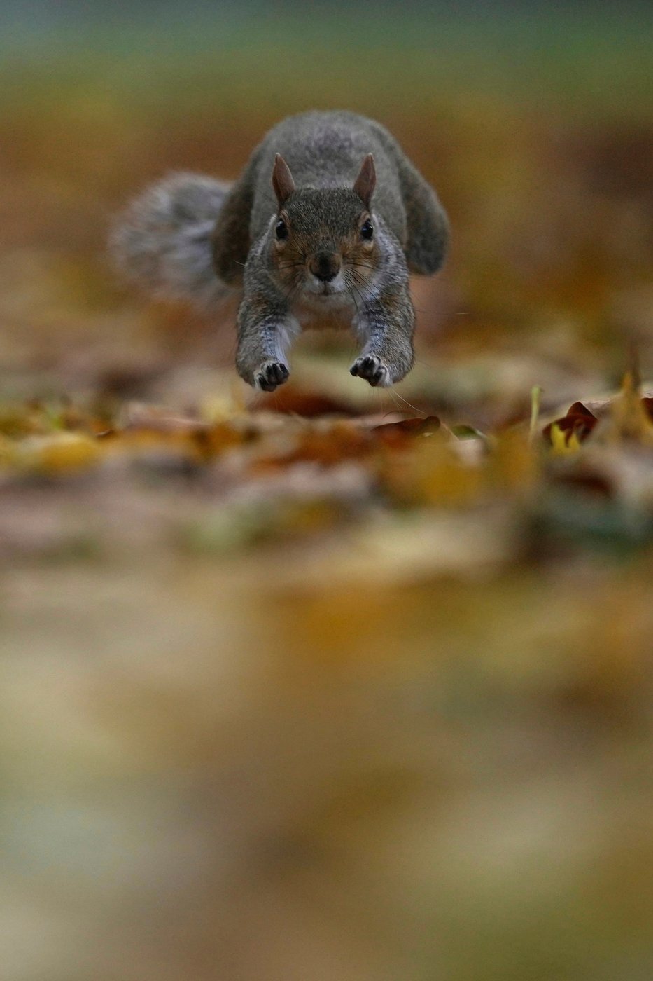 See the world in vertical: Top photos by AP's photojournalists | iNFOnews.ca