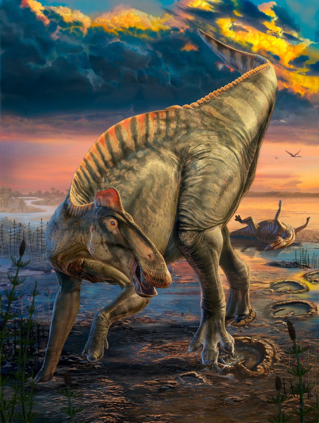 Rare dinosaur mummies help scientists recreate their prehistoric lives | iNFOnews.ca Rare dinosaur mummies help scientists recreate their prehistoric lives | iNFOnews.ca