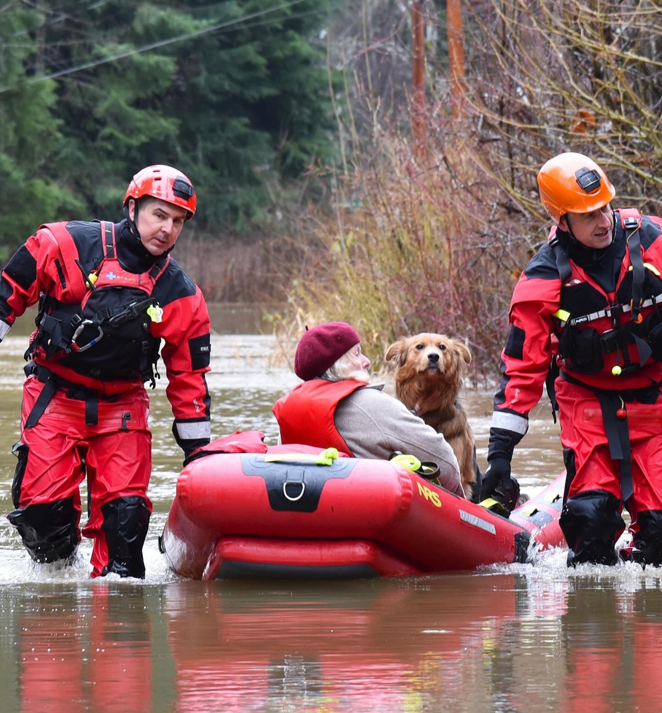 Vancouver Island rescuers helped people, sheep, dogs and cat after heavy rains | iNFOnews.ca