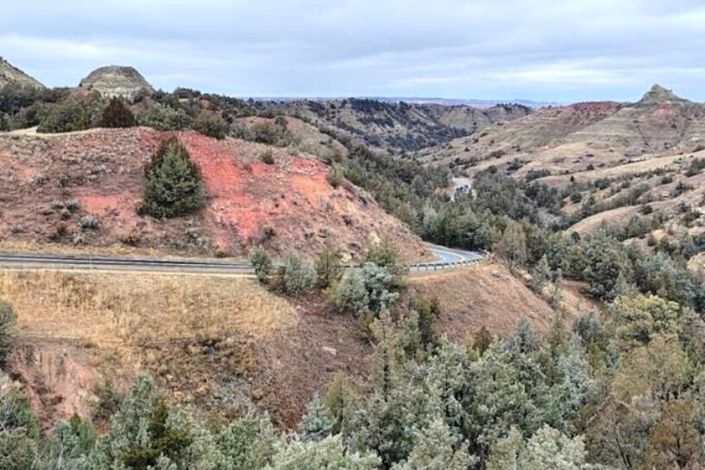 Reconstructed road opens grand views at Theodore Roosevelt National Park in North Dakota | iNFOnews.ca