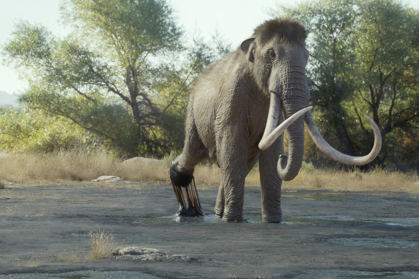 A foot-tall elephant? 'Prehistoric Planet: Ice Age' on Apple TV reveals surprising creatures | iNFOnews.ca