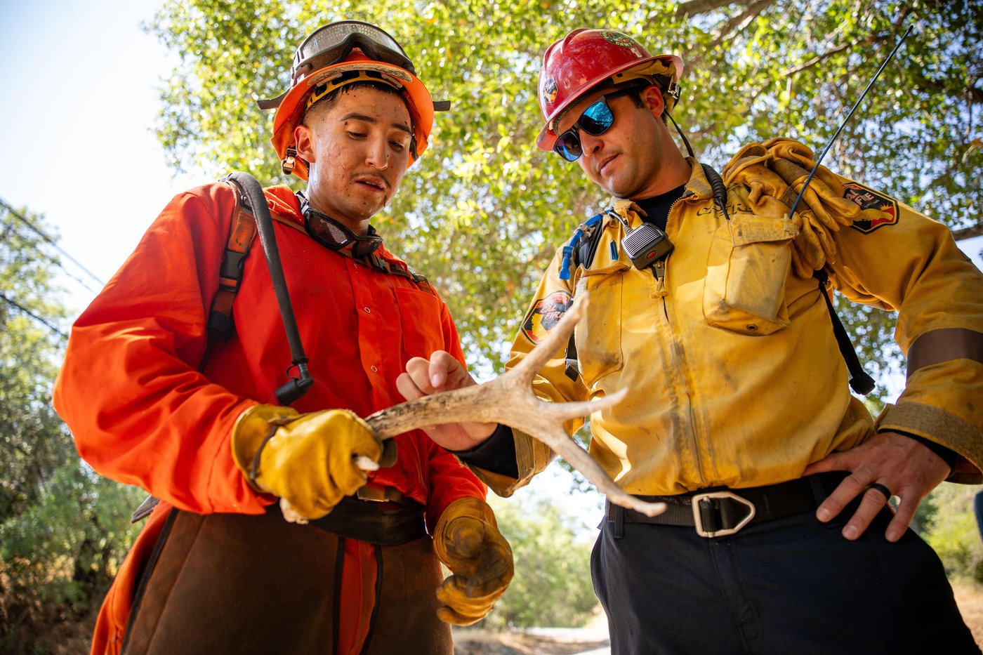 PHOTO ESSAY: Young California inmates learn skills to fight wildfires | iNFOnews.ca