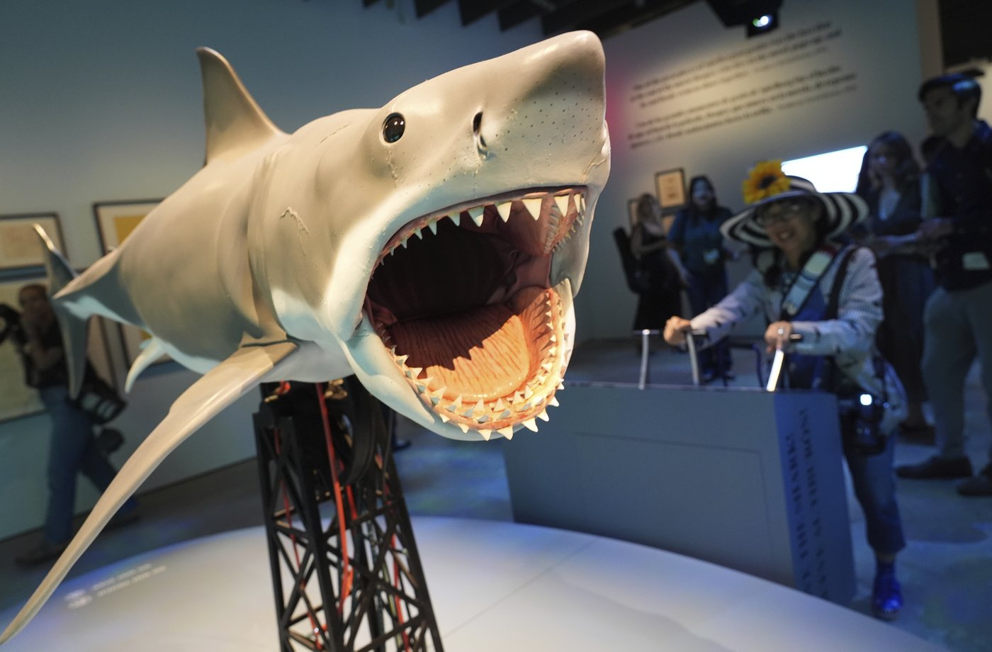 Steven Spielberg celebrates 'awesome' 50th anniversary 'Jaws' exhibition at Academy Museum | iNFOnews.ca Steven Spielberg celebrates 'awesome' 50th anniversary 'Jaws' exhibition at Academy Museum | iNFOnews.ca