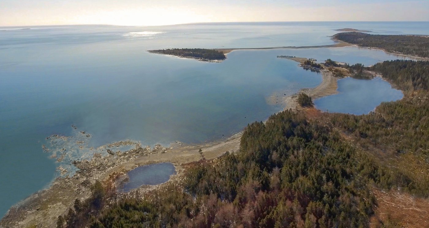 Nova Scotia government gives Whale Sanctuary Project approval to build coastal refuge | iNFOnews.ca
