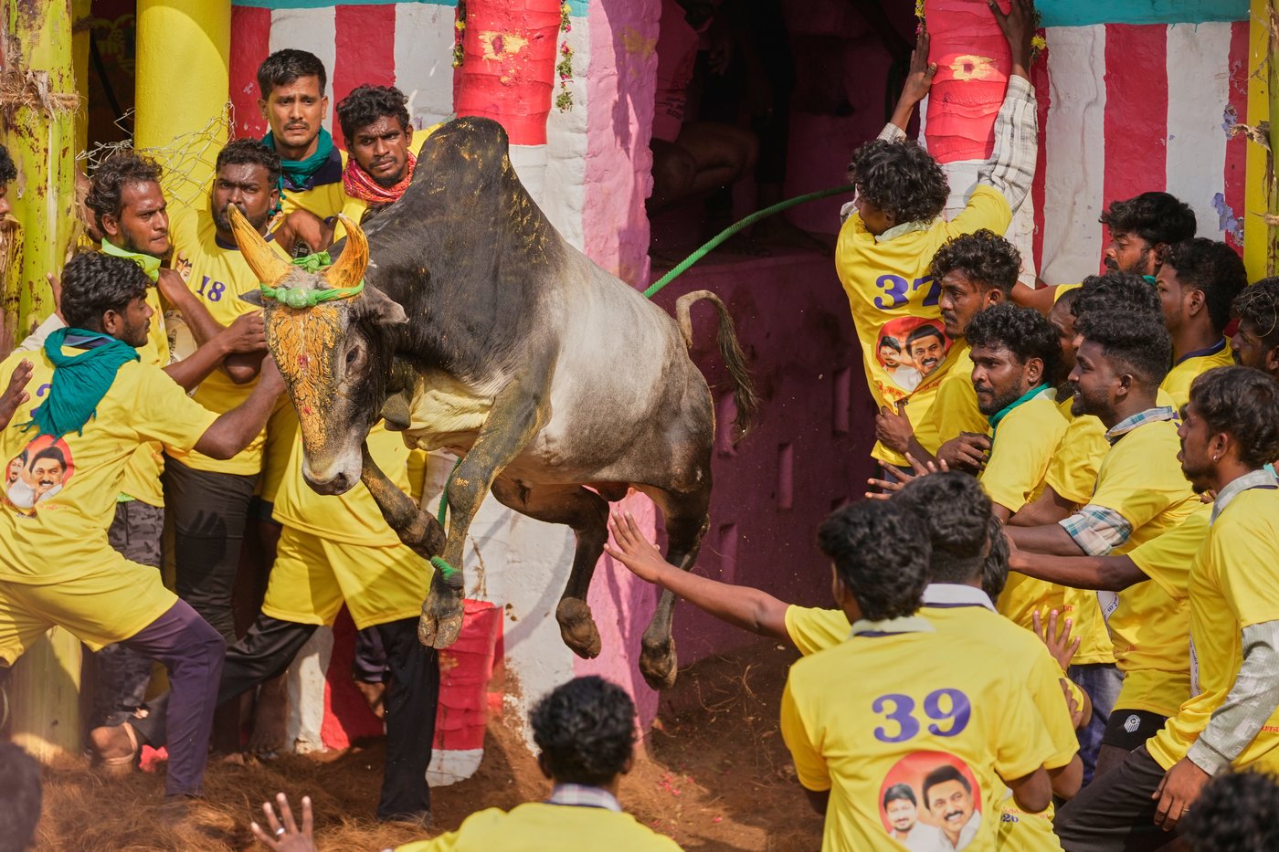 PHOTO ESSAY: Centuries-old bull festival in southern India remains a popular draw | iNFOnews.ca