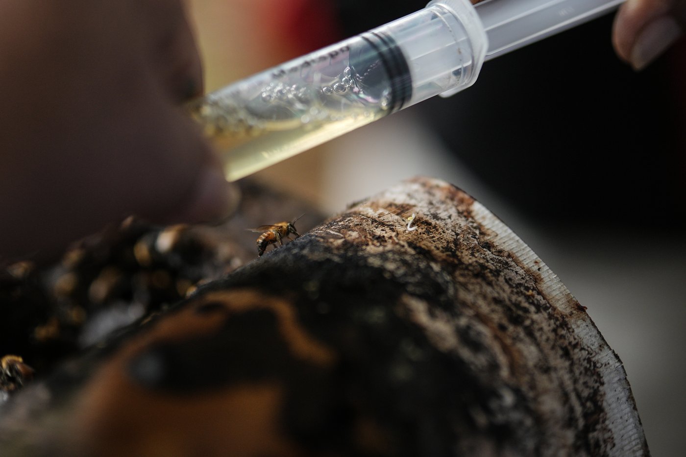 'It’s not safe to live here.' Colombia is deadliest country for environmental defenders | iNFOnews.ca