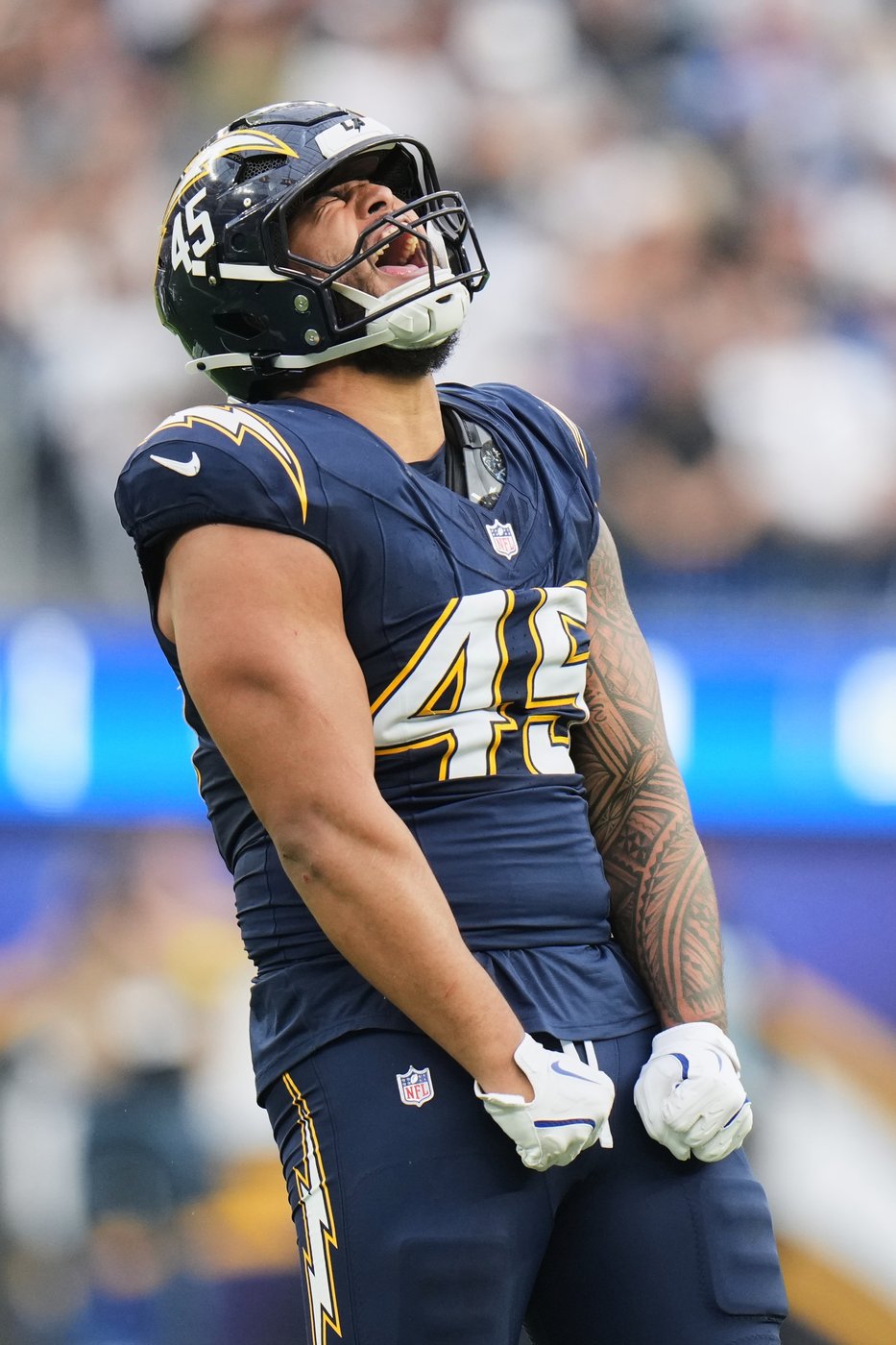 Top photos from Week 13 of the NFL season | iNFOnews.ca