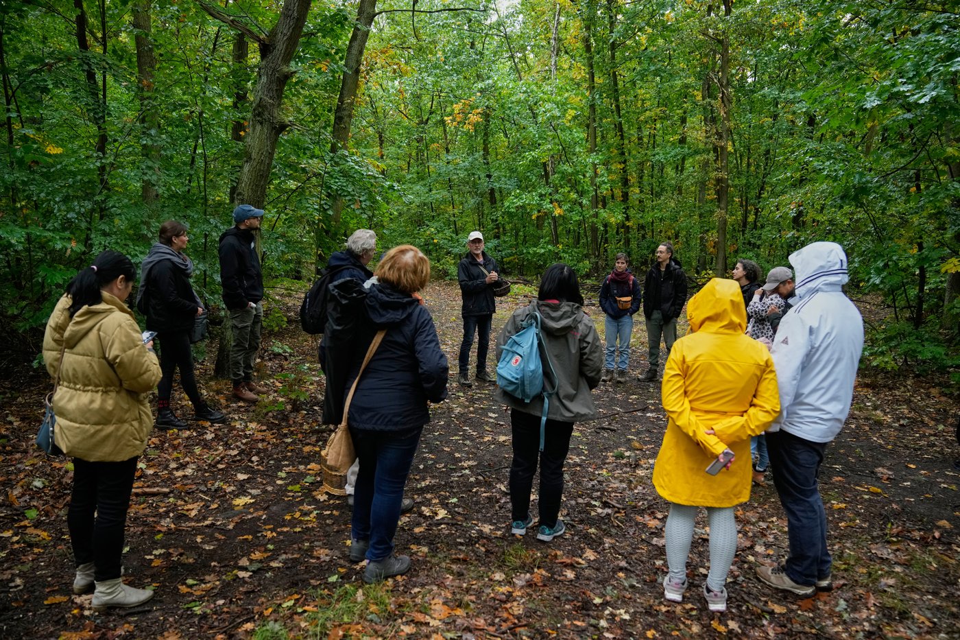 Mushroom hunting in Germany sees a revival thanks to veganism and medicinal fungi, in photos | iNFOnews.ca
