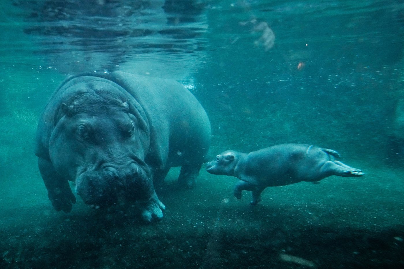 The top photos of the day by AP's photojournalists | iNFOnews.ca The top photos of the day by AP's photojournalists | iNFOnews.ca