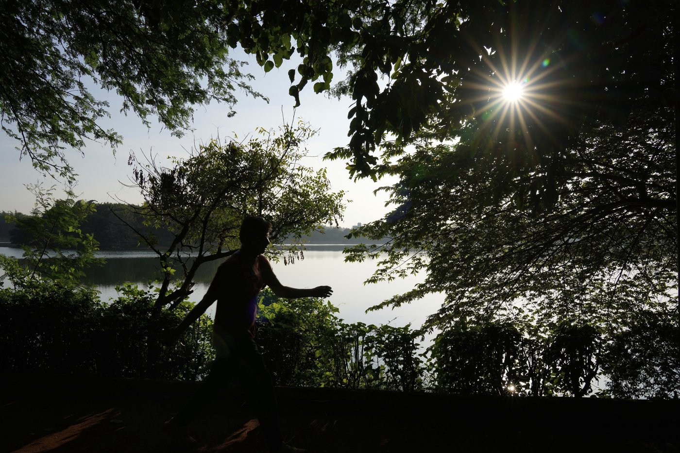 As climate risks grow, India's Bengaluru is trying to save its vanishing lakes | iNFOnews.ca As climate risks grow, India's Bengaluru is trying to save its vanishing lakes | iNFOnews.ca