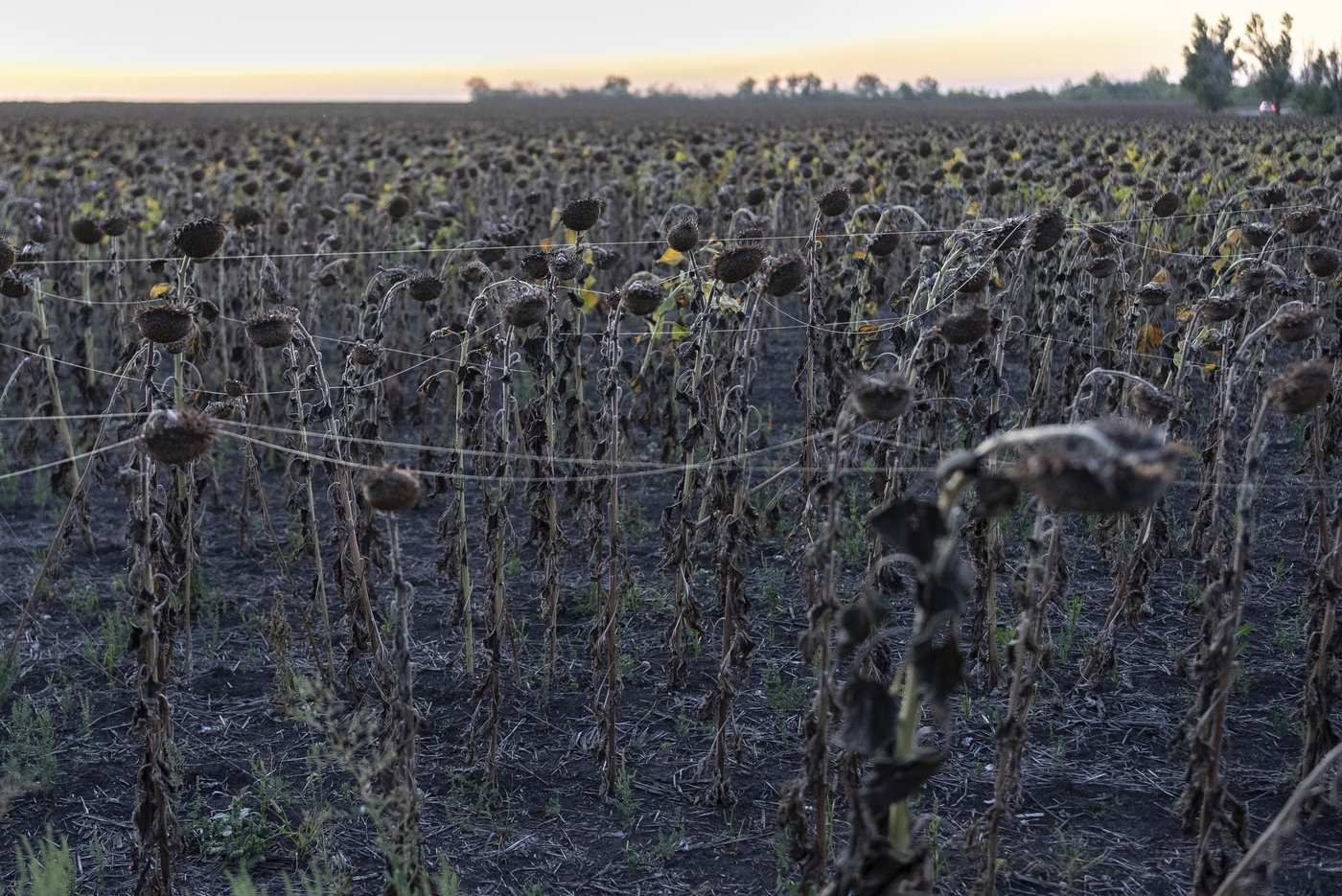 Ukraine faces a new test as Russia steps up its drive to seize Donetsk’s fortress belt | iNFOnews.ca