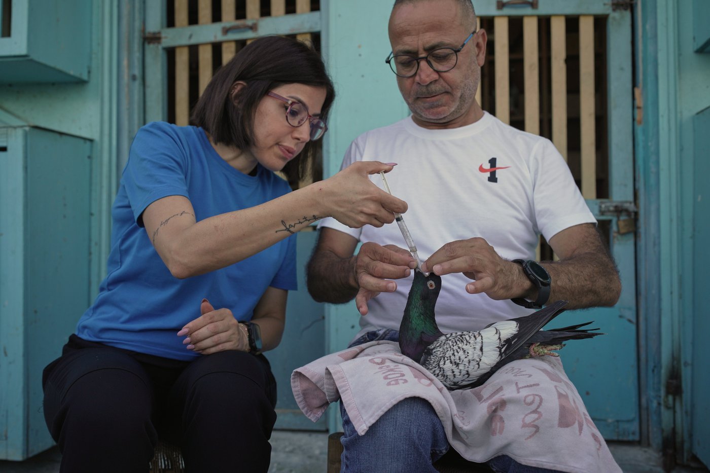 Photos of a Beirut woman's rooftop sanctuary for pigeons | iNFOnews.ca