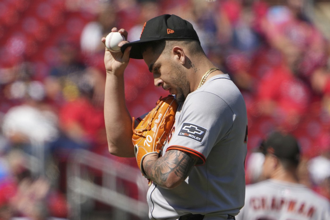 Gray takes no-hit bid into 6th as Cards beat Giants 4-3 Sunday | iNFOnews.ca Gray takes no-hit bid into 6th as Cards beat Giants 4-3 Sunday | iNFOnews.ca