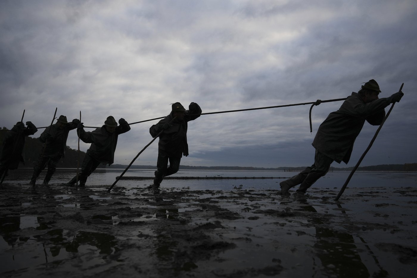 Photos show Czech fisherman hauling in Christmas carp for holiday tables | iNFOnews.ca