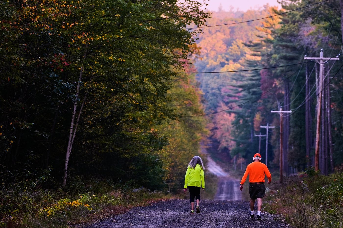 Drought has muted this year's leaf-peeping season | iNFOnews.ca Drought has muted this year's leaf-peeping season | iNFOnews.ca