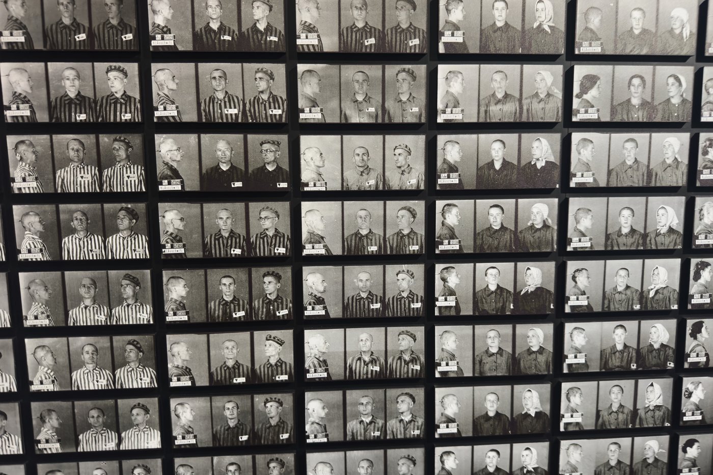 New permanent exhibition at Auschwitz museum uses personal objects to show daily life of prisoners | iNFOnews.ca