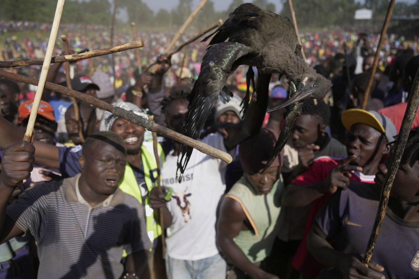 Photos show a bullfight in Kenya, where an ancient sport attracts modern-day bets | iNFOnews.ca
